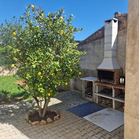 Вилла Quinta Sabaudia Gateiras Экстерьер фото